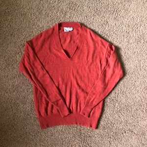 Everlane Cashmere V-Neck Sweater